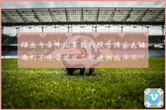 雄鹿与黄蜂比赛裁判报告揭示关键漏判字母哥进攻三秒违例成焦点