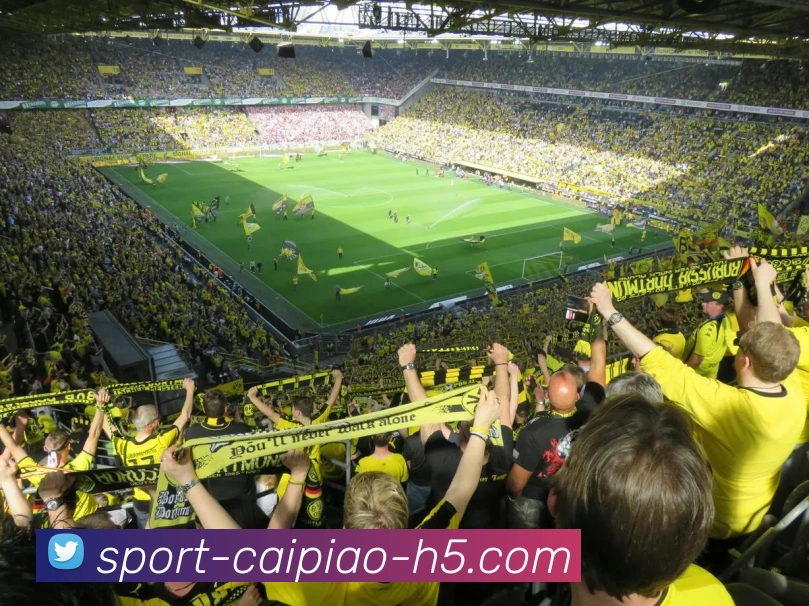 大发彩票品牌故事