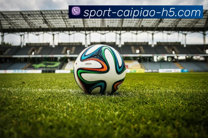 大发彩票服务体系