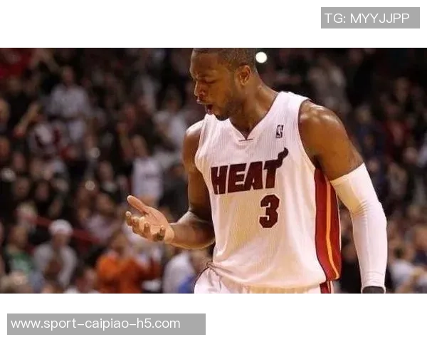 韦德谈退役生活：远离聚光灯的宁静与娱乐明星的不同体验